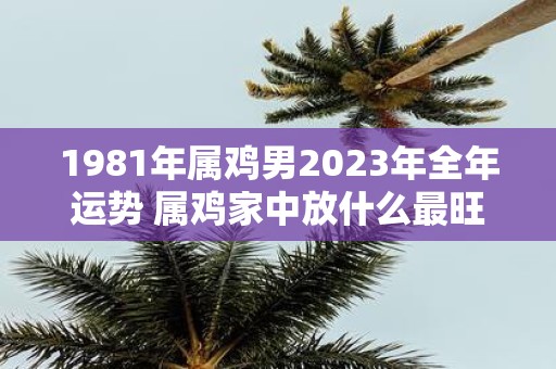 1981年属鸡男2025年全年运势 属鸡家中放什么最旺