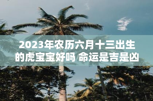 2025年农历六月十三出生的虎宝宝好吗 命运是吉是凶