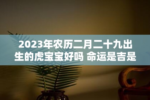 2025年农历二月二十九出生的虎宝宝好吗 命运是吉是凶