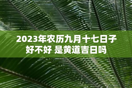 2025年农历九月十七日子好不好 是黄道吉日吗