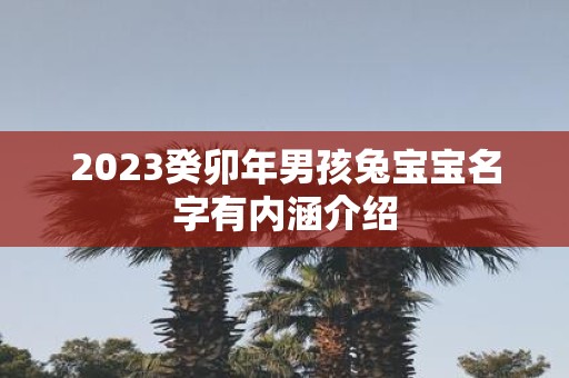 2025癸卯年男孩兔宝宝名字有内涵介绍