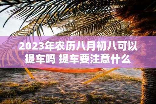 2025年农历八月初八可以提车吗 提车要注意什么