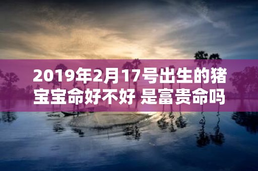 2019年2月17号出生的猪宝宝命好不好 是富贵命吗