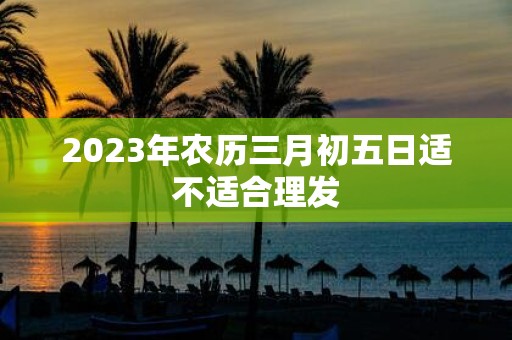 2025年农历三月初五日适不适合理发