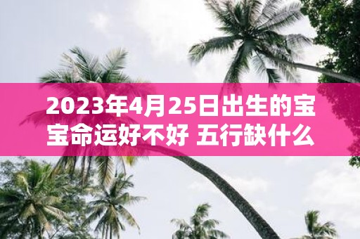 2025年4月25日出生的宝宝命运好不好 五行缺什么