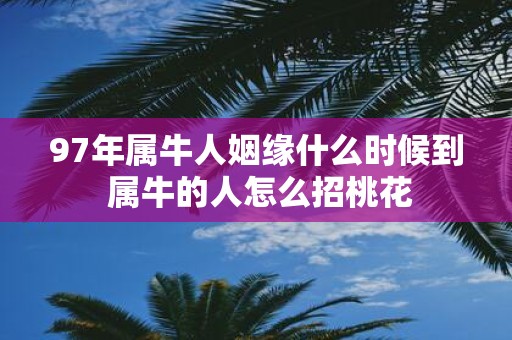 97年属牛人姻缘什么时候到 属牛的人怎么招桃花