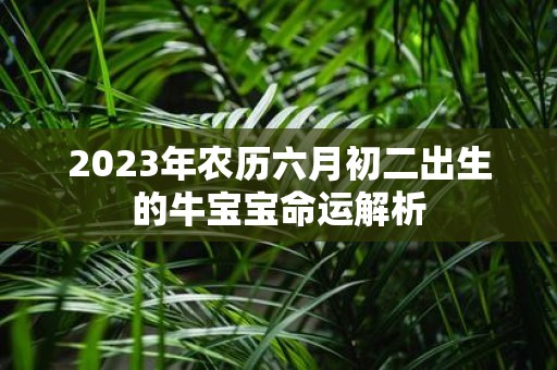 2025年农历六月初二出生的牛宝宝命运解析