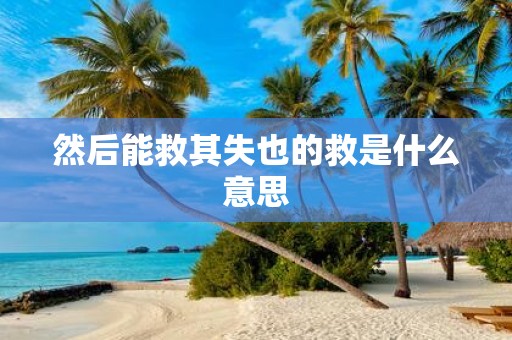然后能救其失也的救是什么意思