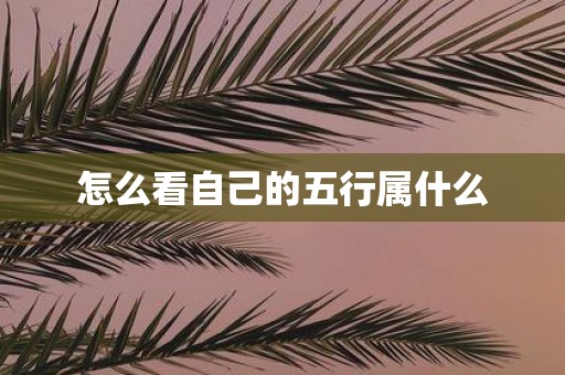 怎么看自己的五行属什么