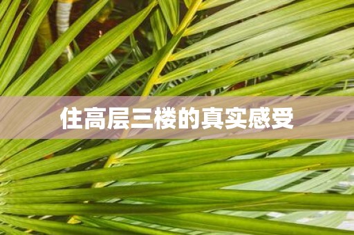 住高层三楼的真实感受