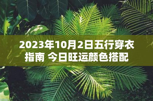 2025年10月2日五行穿衣指南 今日旺运颜色搭配