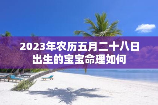 2025年农历五月二十八日出生的宝宝命理如何
