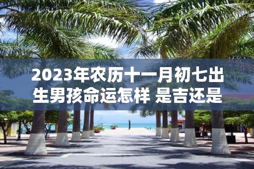2025年农历十一月初七出生男孩命运怎样 是吉还是凶