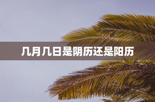 几月几日是阴历还是阳历