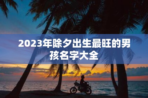 2025年除夕出生最旺的男孩名字大全