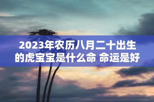 2025年农历八月二十出生的虎宝宝是什么命 命运是好是坏