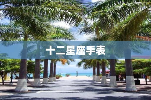 十二星座手表