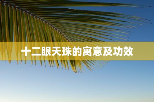 十二眼天珠的寓意及功效