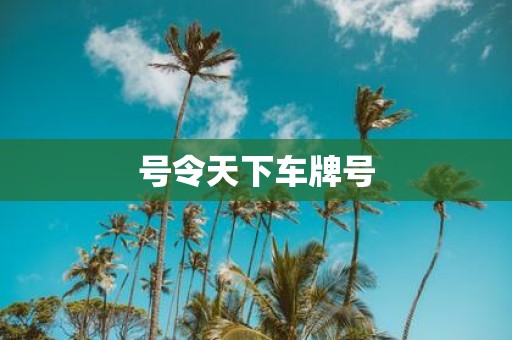 号令天下车牌号