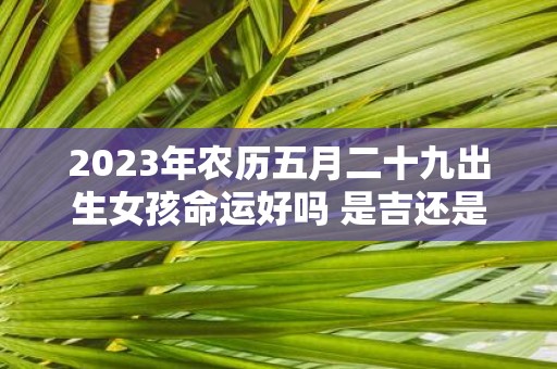 2025年农历五月二十九出生女孩命运好吗 是吉还是凶