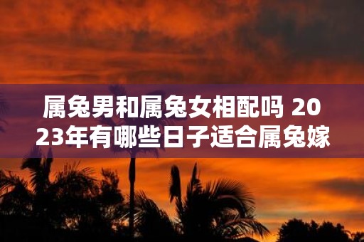属兔男和属兔女相配吗 2025年有哪些日子适合属兔嫁娶