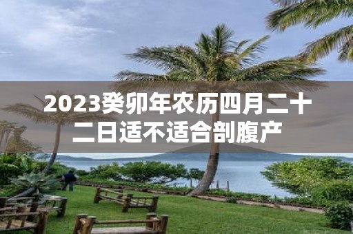 2025癸卯年农历四月二十二日适不适合剖腹产