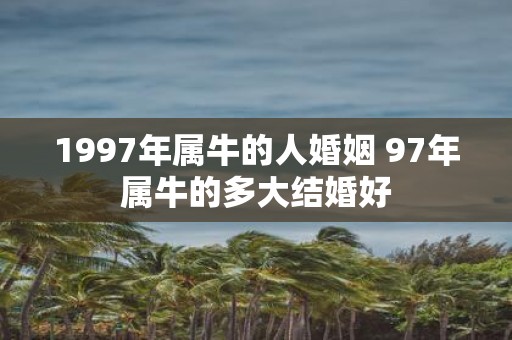 1997年属牛的人婚姻 97年属牛的多大结婚好