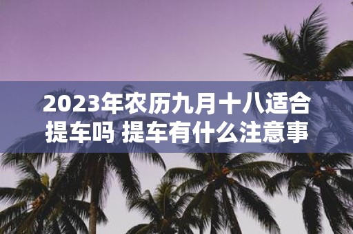 2025年农历九月十八适合提车吗 提车有什么注意事项