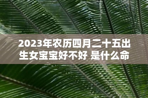 2025年农历四月二十五出生女宝宝好不好 是什么命