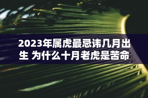 2025年属虎最忌讳几月出生 为什么十月老虎是苦命月