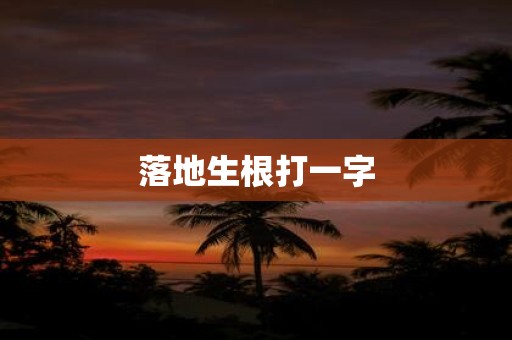 落地生根打一字