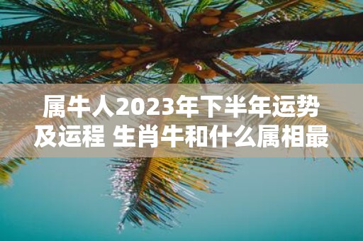 属牛人2025年下半年运势及运程 生肖牛和什么属相最不和