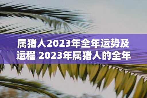 属猪人2025年全年运势及运程 2025年属猪人的全年运势