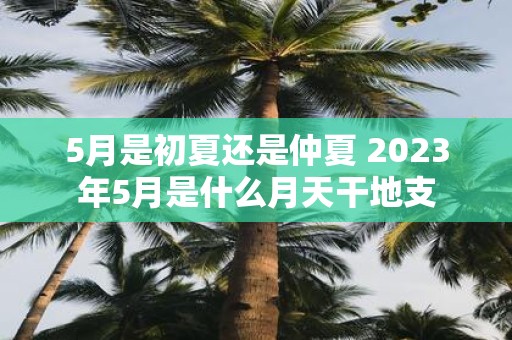 5月是初夏还是仲夏 2025年5月是什么月天干地支 5月是初夏还是仲夏 2025年5月是什么月天干地支