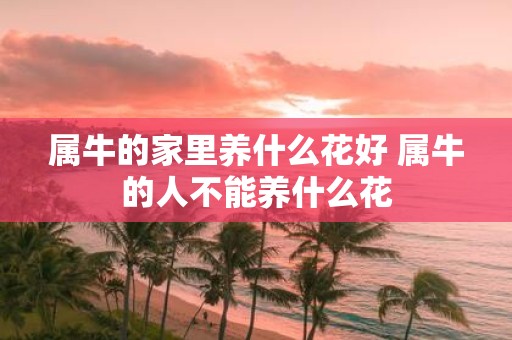 属牛的家里养什么花好 属牛的人不能养什么花
