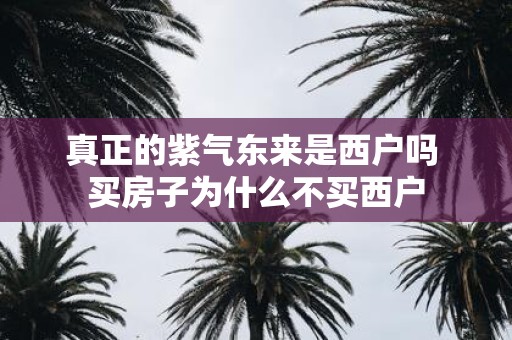 真正的紫气东来是西户吗 买房子为什么不买西户
