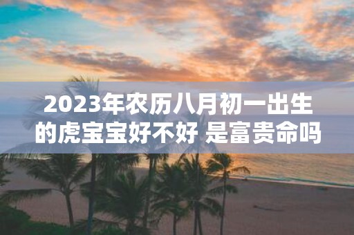 2025年农历八月初一出生的虎宝宝好不好 是富贵命吗