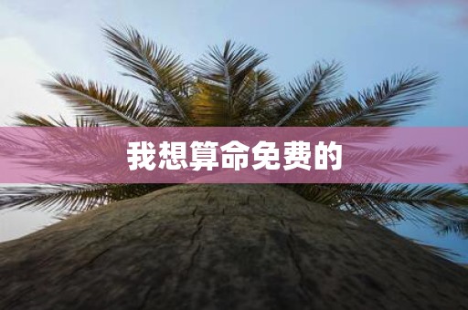 我想算命免费的