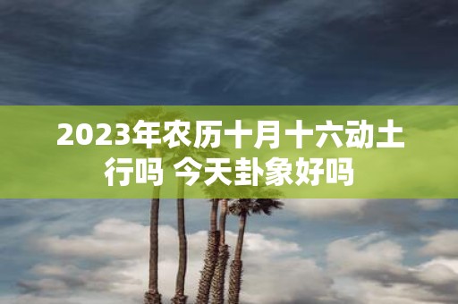 2025年农历十月十六动土行吗 今天卦象好吗