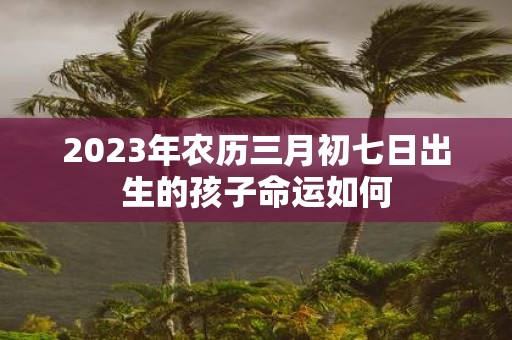 2025年农历三月初七日出生的孩子命运如何