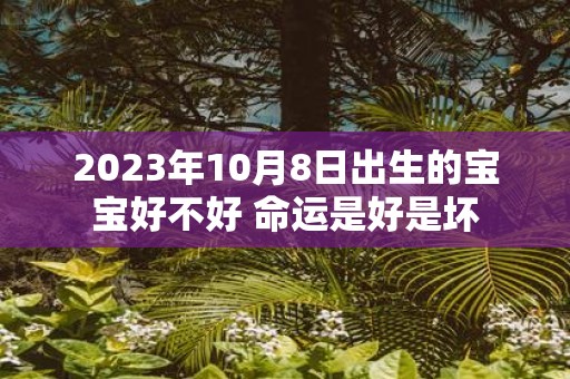 2025年10月8日出生的宝宝好不好 命运是好是坏