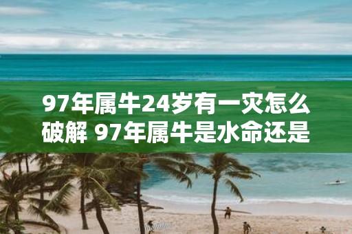 97年属牛24岁有一灾怎么破解 97年属牛是水命还是火命