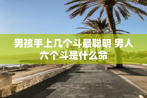 男孩手上几个斗最聪明 男人六个斗是什么命