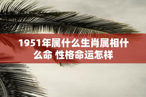 1951年属什么生肖属相什么命 性格命运怎样