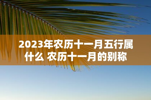 2025年农历十一月五行属什么 农历十一月的别称