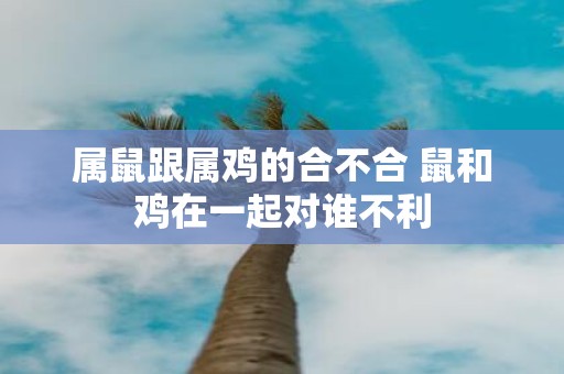 属鼠跟属鸡的合不合 鼠和鸡在一起对谁不利