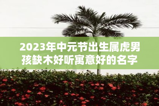 2025年中元节出生属虎男孩缺木好听寓意好的名字