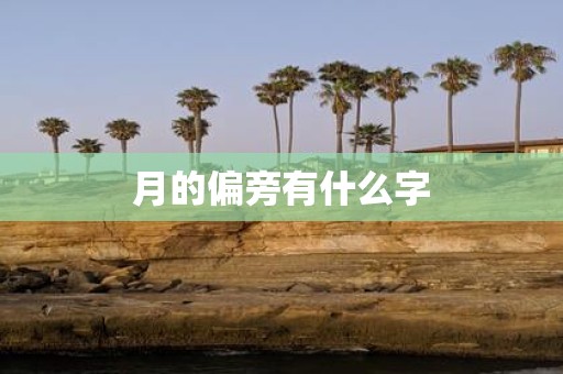 月的偏旁有什么字