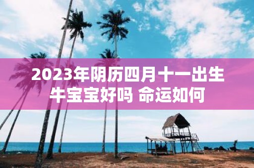 2025年阴历四月十一出生牛宝宝好吗 命运如何