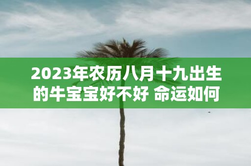 2025年农历八月十九出生的牛宝宝好不好 命运如何